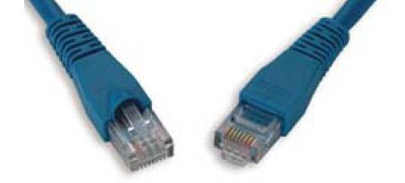 Two ethernet cord assemblies